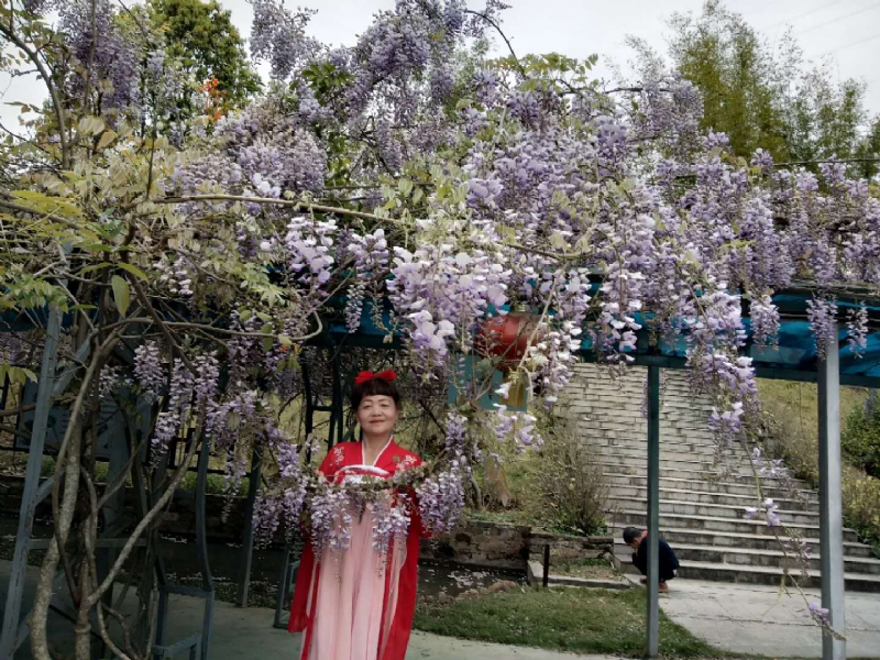 莉莉的第一张照片--福清征婚网